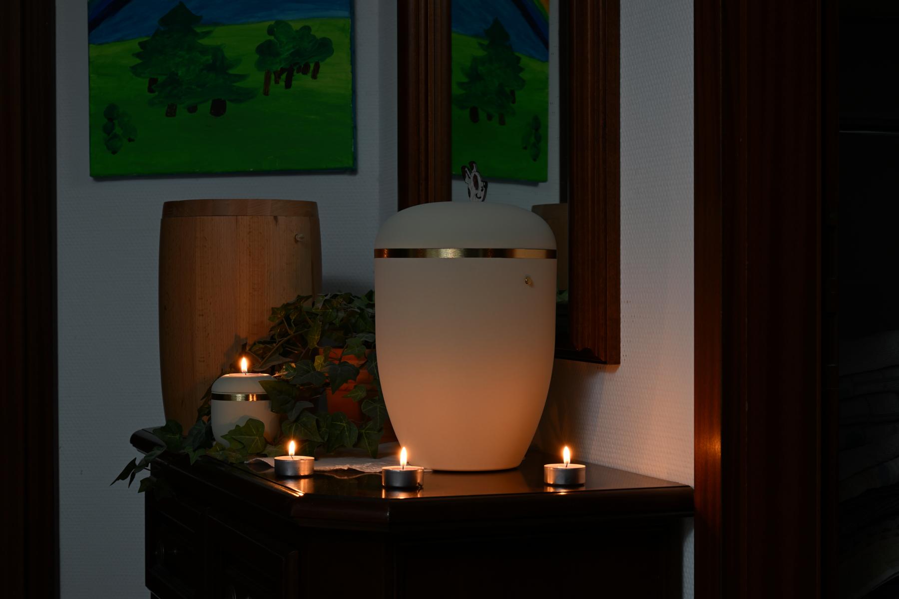 urne privat 2026-02-16 CWR_9453