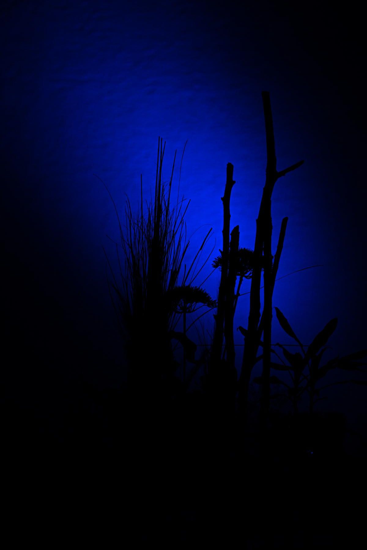 CWR_4970